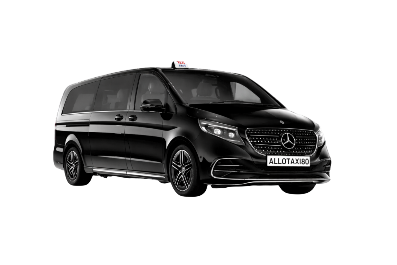 Mercedes-Benz V 300 noir